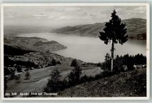 3703 Aeschi b. Spiez Foto AK Thunersee Foto Beer
