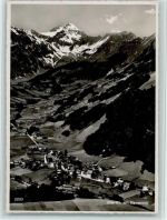 8767 Elm - Hausstock