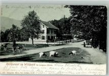 8135 Langnau am Albis 1903 Gebrauchsspuren Ziege Gasthaus im Wildpark