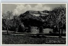 6013 Eigenthal - Panorama AKU1