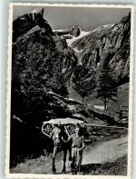 Alpstein Foto AK Seealpsäumer Säntis Foto Eggenberger Lastpferd