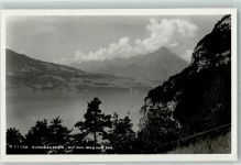 3800 Sundlauenen - Auf dem Weg zum See Gasthaus Beatus