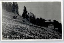 Les Pléiades - Eisenbahn