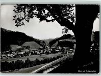 3555 Trubschachen - Blick auf Trubschachen Baum