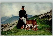 Hospiz Großer Sankt Bernhard Pass - Mönch mit Bernhardinerhund und ihren Jungen