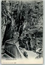 3920 Zermatt - Gornerschlucht