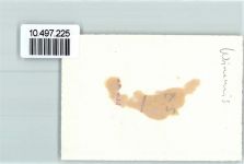 3752 Wimmis FOTO KEINE AK Turm Neujahr Fels Foto 10cm x 7cm, rückseitig Haftspuren