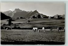 3703 Aeschi b. Spiez - Dündenhorn Aermighorn