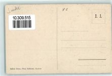 1904 Vernayaz - Trient Schlucht Steg