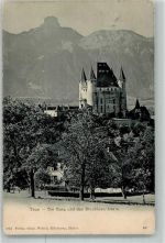 3600 Thun 1905 Foto AK Burg