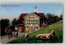 Hörnli ZH - Hörnli-Kulm Kühe Pferdekarre Hüttenstempel