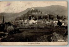 5103 Wildegg Foto AK