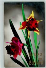 7220 Schiers - Blumenportrait