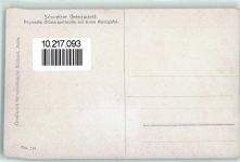 Schweizer Grenzwacht Angeseilte Offizierspatrouille auf einem Alpengipfel