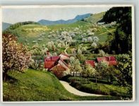 4437 Waldenburg - Im Baselbiet bei Waldenburg blühende Kirschbäume