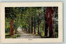 3000 Bern Berne - Elfenau