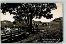 8843 Oberiberg Foto AK Guggern Hirsch