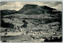 3713 Reichenbach im Kandertal 1911 - Bahnlinie Bahnhof