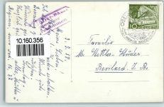 Stierenberg - Alp Stierenberg