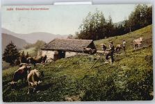 3999 Oberwald - Alphornbläser