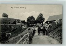6125 Menzberg 1910 - Alp Oberlehn , Tiergespann, Rinder, Bauern