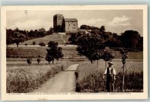 5245 Habsburg - Schloss