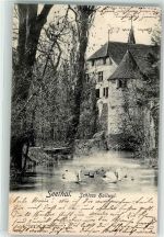 5707 Seengen 1902 - Schloss Hallwyl Schwäne Seethal