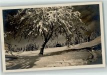 3863 Gadmen - Windegglihütte Winter