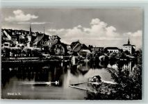 3294 Büren an der Aare - Die Aare Schwäne