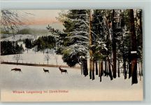 8135 Sihlwald - Wildpark Langenberg bei Zürich-Sihlthal