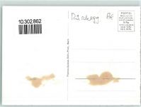 Gantrisch Gebrauchsspuren Bürglen Ochsen Winter