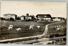 3052 Zollikofen Foto AK landwirtschaftliche Schule
