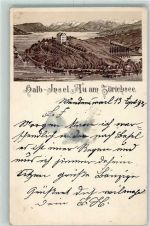 8804 Au ZH 1898 Gebrauchsspuren Halb-Insel Au am Zürichsee Stabstempel Lithographie