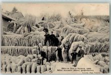 1290 Versoix 1905 - Winter Hotel Garneret Eislandschaft