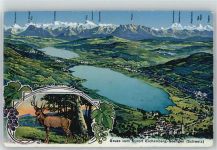 5707 Seengen - Karte, Seepartie, Wild