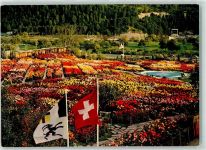 7015 Tamins - Dahlien- und Herbstblumenschau