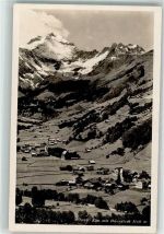 8767 Elm Foto AK Hausstock Foto Elmer