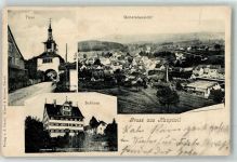 9213 Hauptwil 1904 Lithographie Tor Schloss