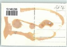 2016 Cortaillod Gebrauchsspuren Rue des Coteaux