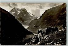 1986 Arolla - Mauleselpost am Mont Collon