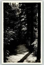 8253 Diessenhofen Foto AK Kurhaus Sanatorium Schloss Rheinburg Gailingen Foto Seidel