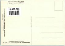 Pro Aero Stiftung Ballon