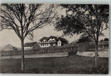7307 Jenins 1918 Foto AK Gasthaus zur Bündte