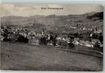 9105 Wald-Schönengrund 1913