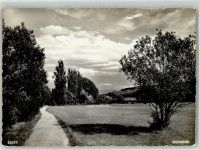 9423 Altenrhein Foto AK Foto Gross