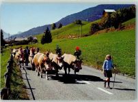 4932 Lotzwil - Alpaufzug