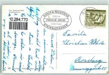 3952 Susten - Sustenstrasse Gwächtenhorn Schafe