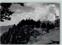 6014 Littau 1958 - Sull Alpe