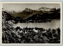 6045 Meggen - Vordermeggen mit See und Alpenkette