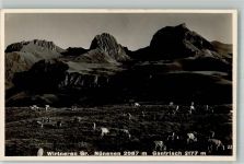 Gantrisch Foto AK Wirtneren Gr. Nünenen Gantrisch